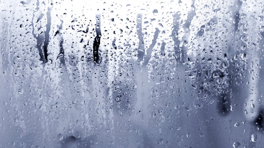 How To Tame Frizzy Hair During Humid Months