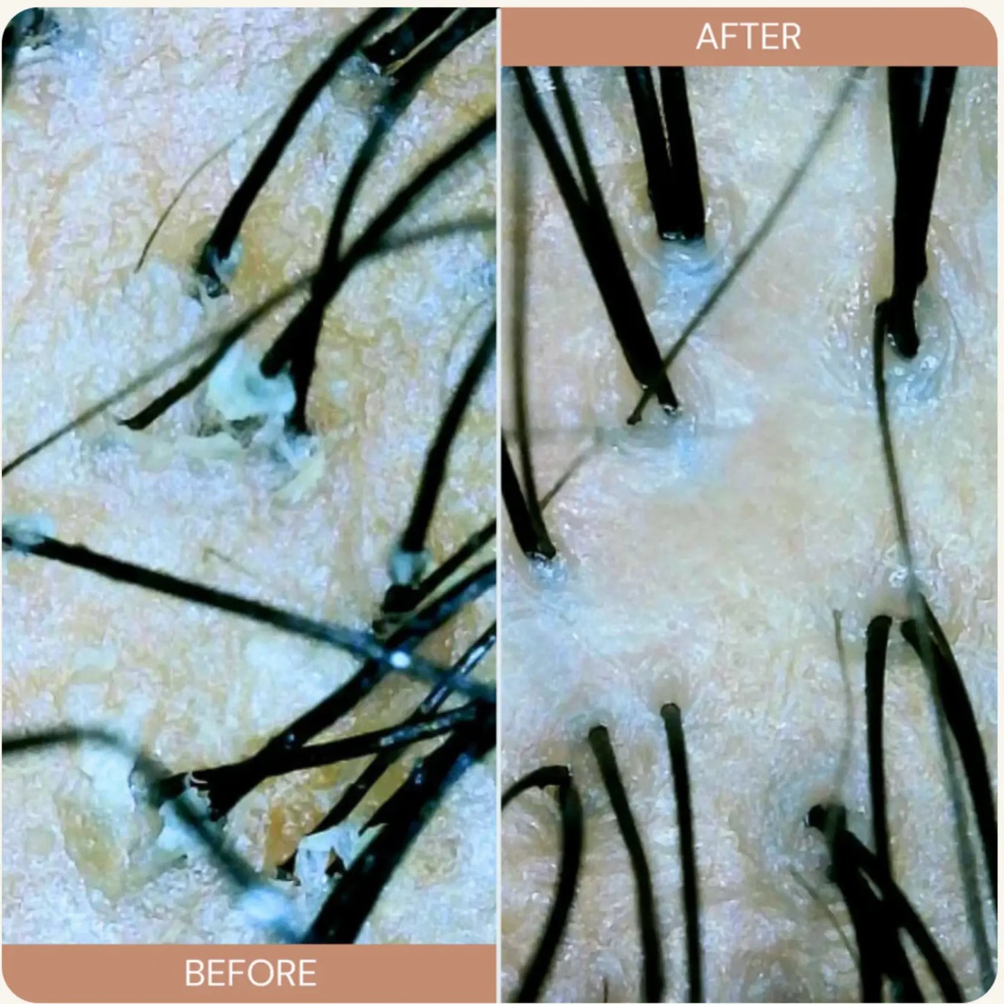 Naturally Drenched Reboot Scalp and Hair Detox