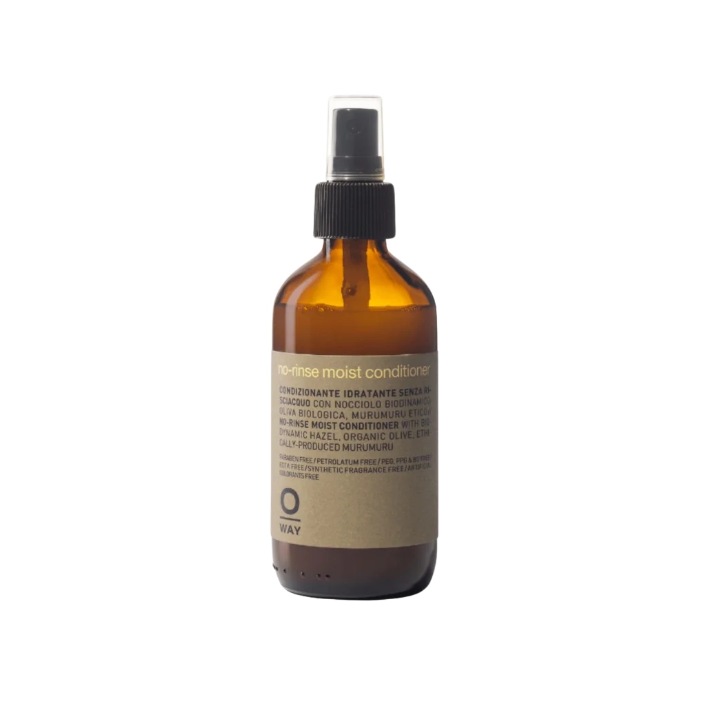 Oway No Rinse Moist Hair Leave In Conditioner - MANEPRINT