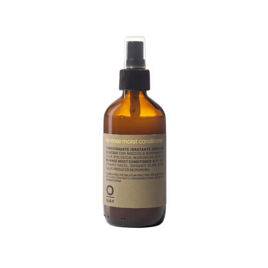 Oway No Rinse Moist Hair Leave In Conditioner - MANEPRINT