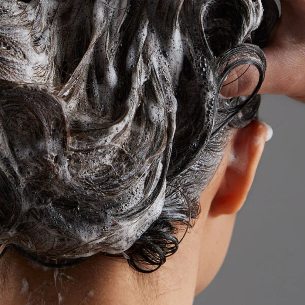 REF Illuminate Color Shampoo - MANEPRINT