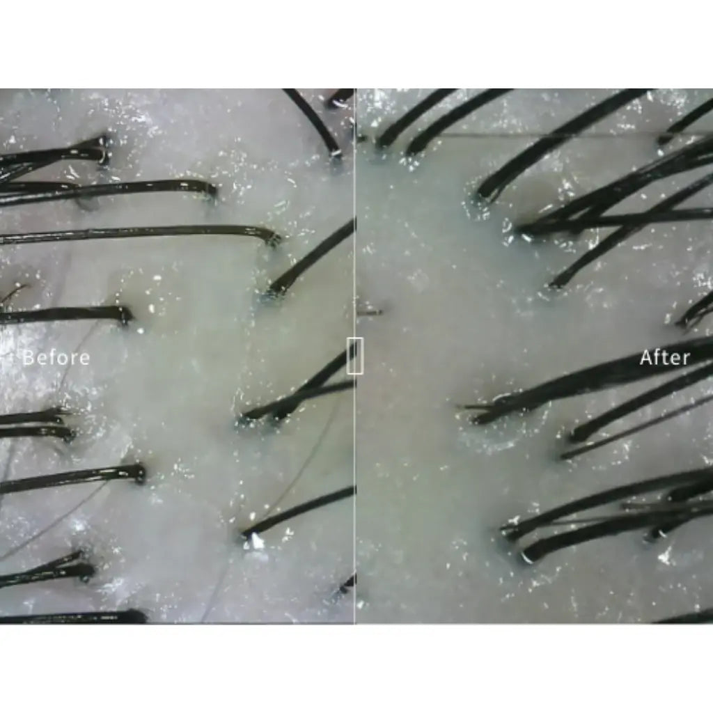 juliArt Oil Balance Shampoo - MANEPRINT