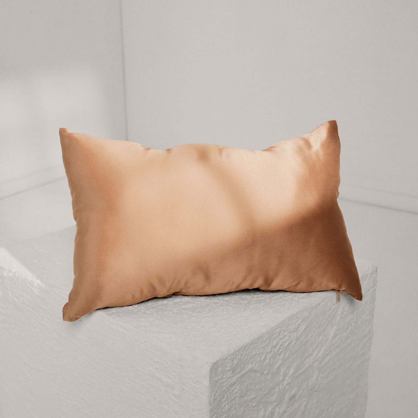 Lunya Washable Silk Travel Pillow