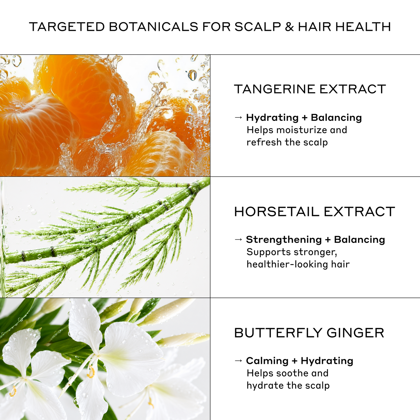 ECLIPSE Color Preservation Shampoo