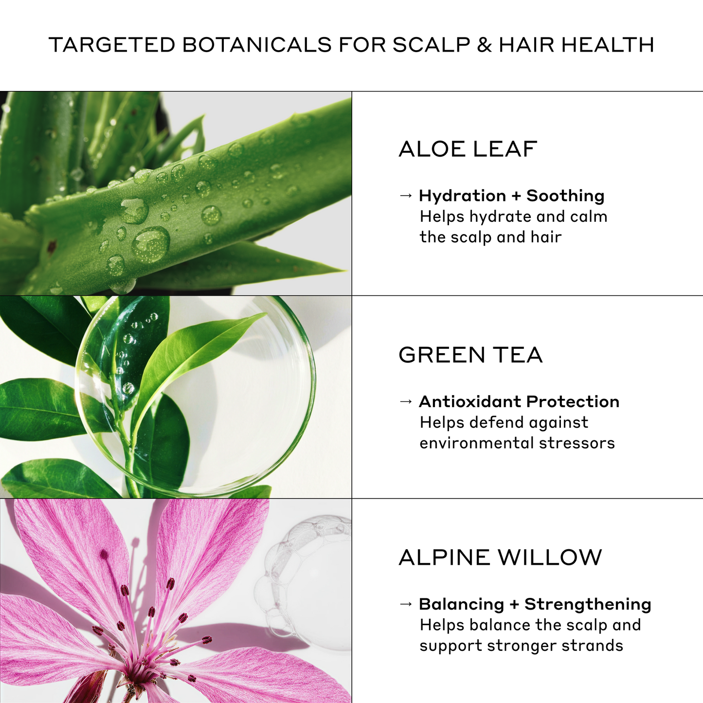 Evolve Nourishing Repair Conditioner
