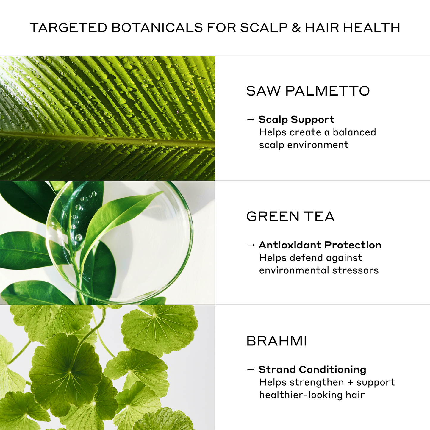 Revolve Thickening Shampoo for Men
